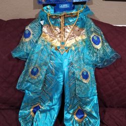 Prinses Jasmine Costume