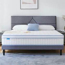 King 12 inch hybrid Mattress