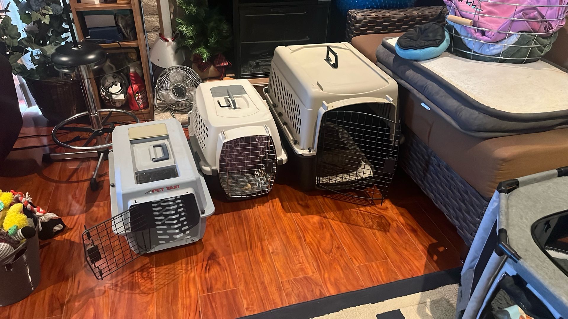 Dog Kennel Assorted Sizes