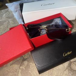 Cartier Frames