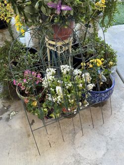 4 Metal Trellis