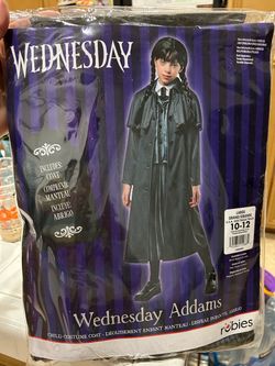 Wednesday costume