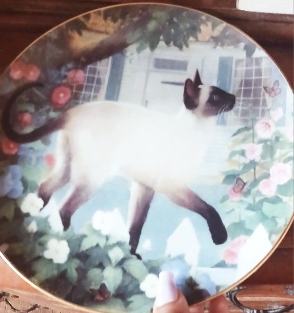 Authentic  Cat Dish CHINA plates