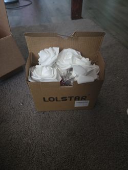 LED rose string lights 