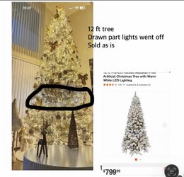 12 ft tree