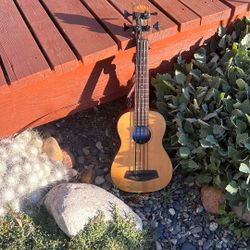Kala U•Bass Acoustic-Electric — Spruce Top / Mahogany (Shadow Preamp)