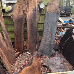 Black Walnut Slabs