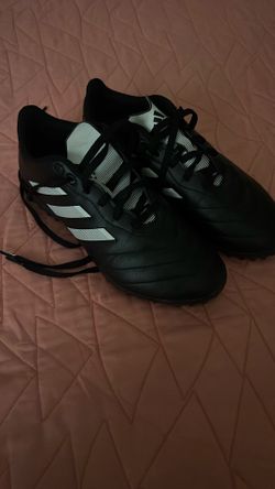 Indoor Soccer Shoes 