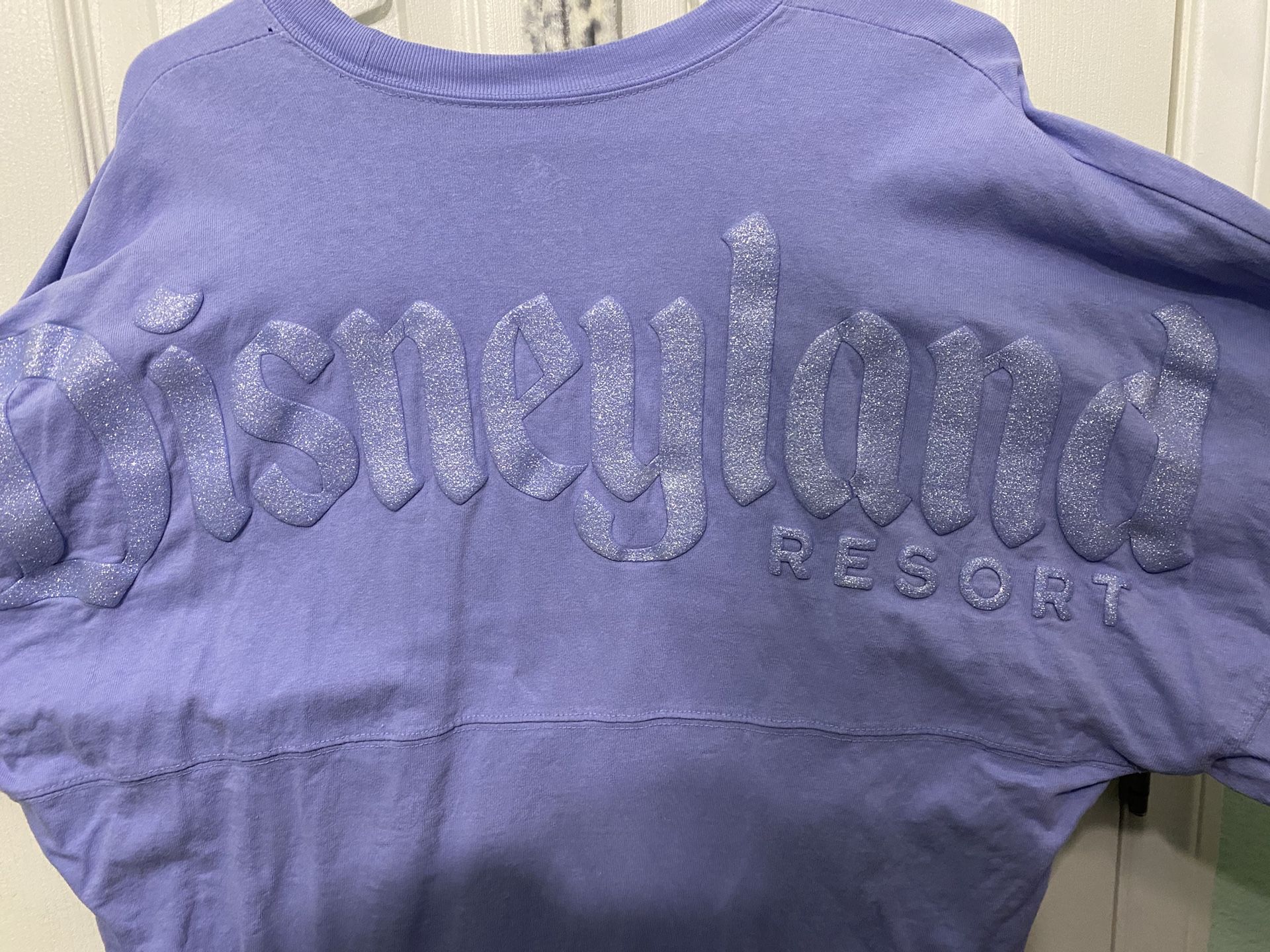 Disney Spirit Jersey Size M