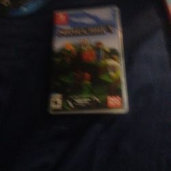 Minecraft Nintendo 