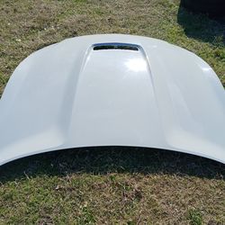2015-2020 Muatang Shelby GT350 Hood OEM