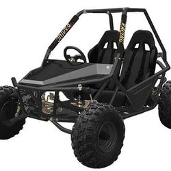 200cc Offroad Go Cartwith Reverse "Kandi KD-200GKM-2"