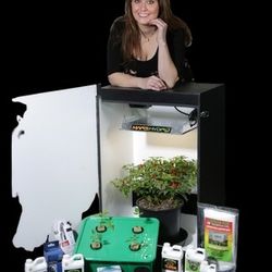 Grandma's Secret Garden