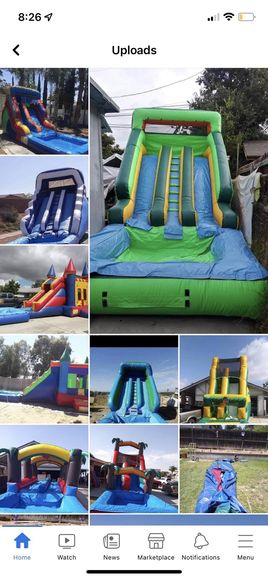 Jumpers/bounce Houses