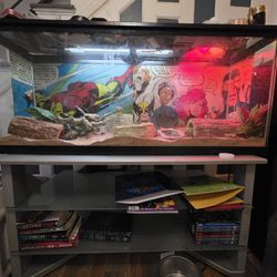 Glass Tank With Everything And Table 