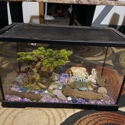 Fish Aquarium 