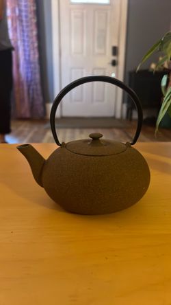 Iwachu Cast Iron Teapot Fukuyu Stone