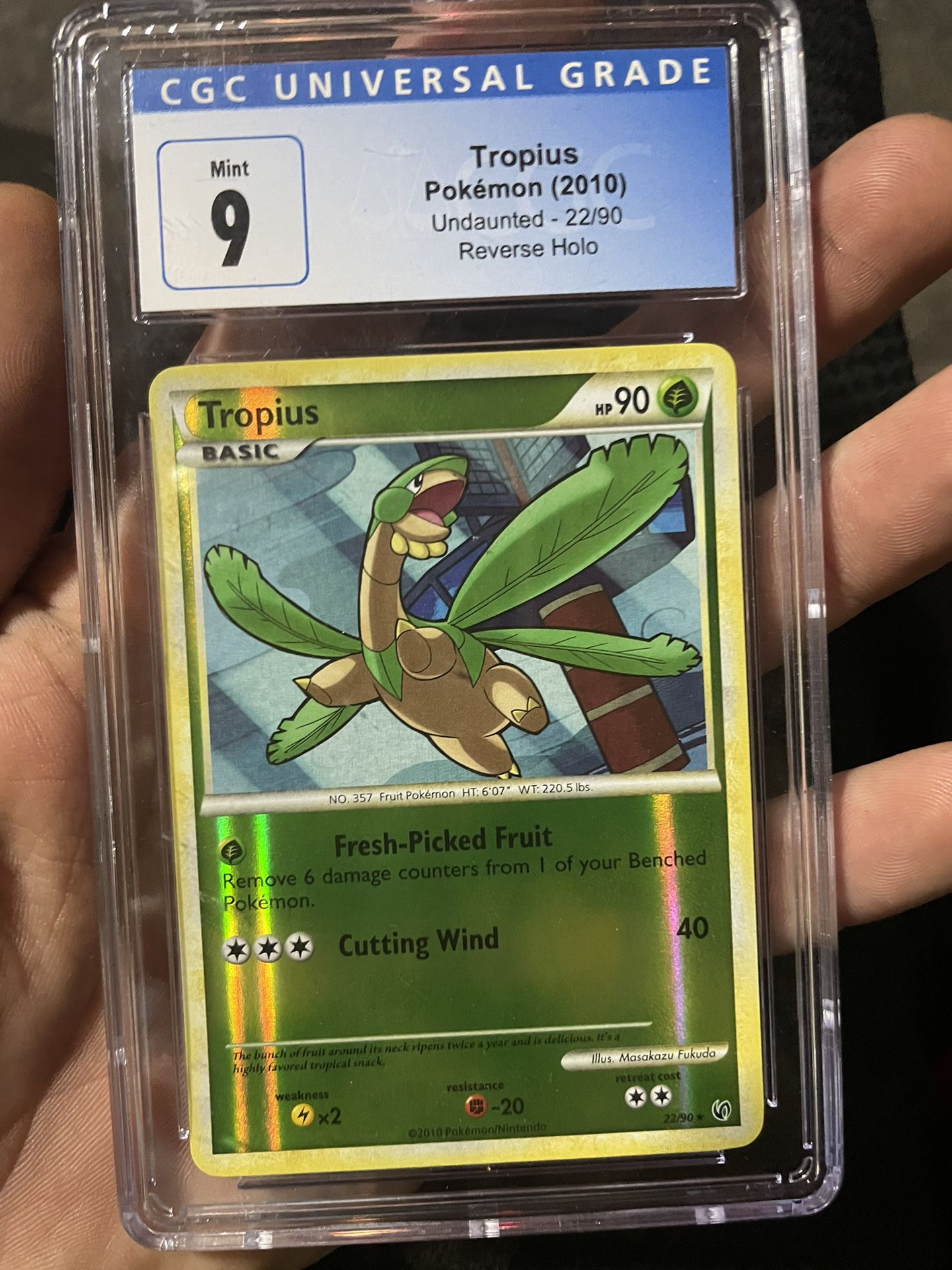Pokémon Mint 9 Tropius 