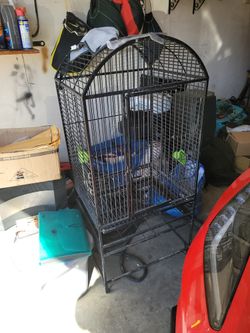 Bird Cage