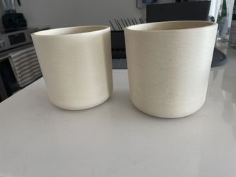 Flower / Plant Pots 