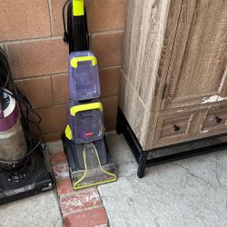 Carpet Cleaner 