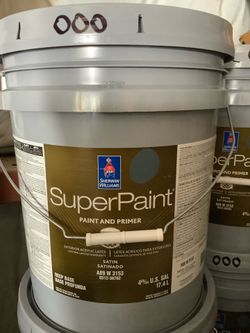 Exterior Super Paint + Primer (Slate Tile)