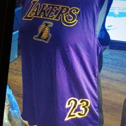 NBA FAN APPAREL NIKE DRI FIT LOS ANGELES #3 DAVIS LARGE