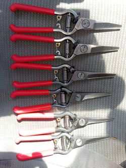 Corona sheers all for price shown