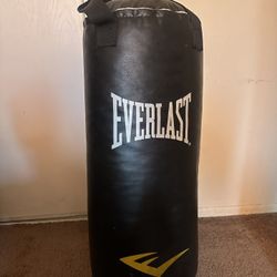 Everlast Punching Bag