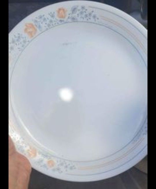 Corelle Vintage Rare By Corning APRICOT GROVE Set Of 17 Dinner