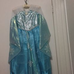 Queen Elsa Disney Limited Edition Costume (Frozen) size M (7/8)