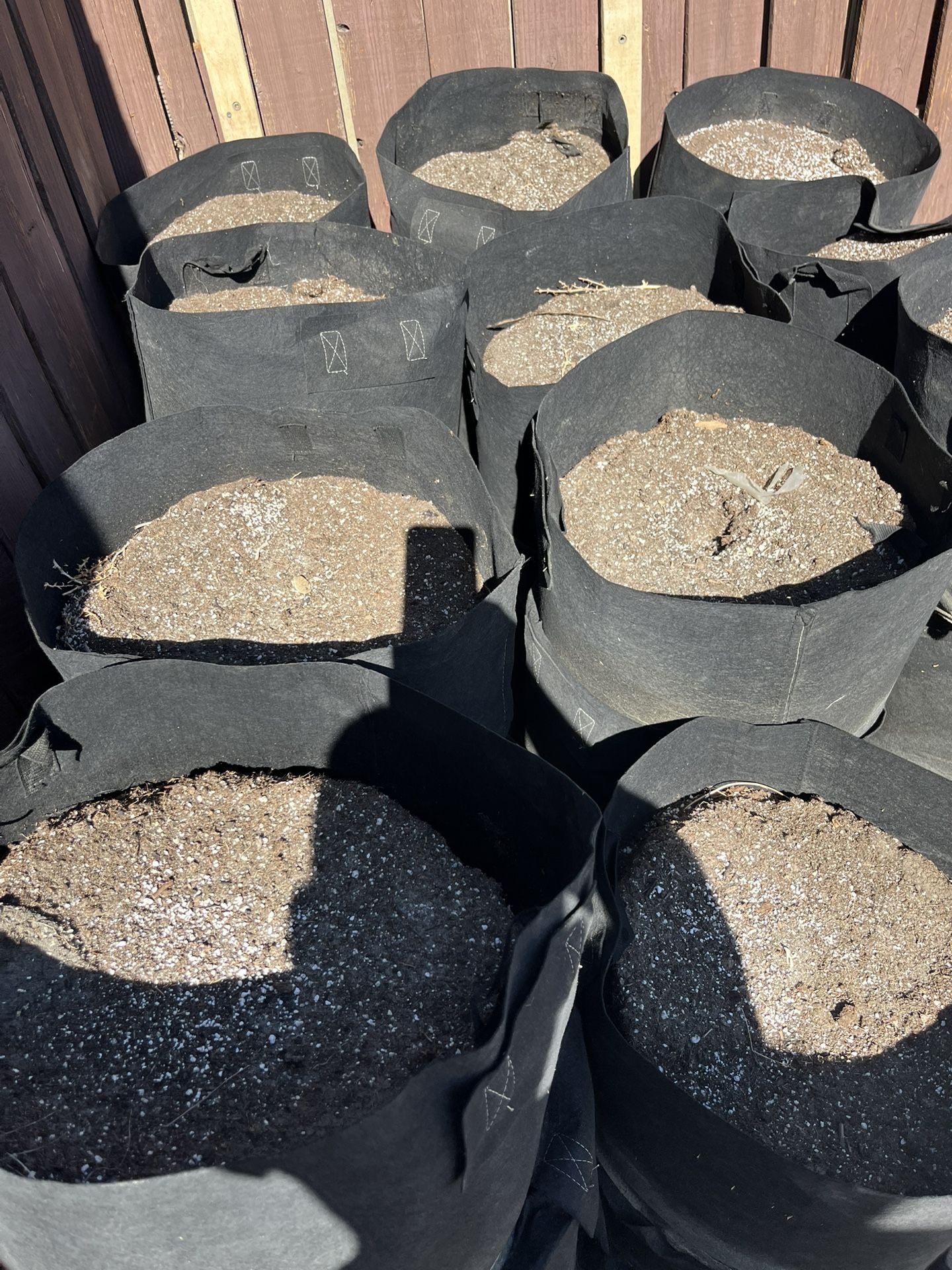 Soil For Plants