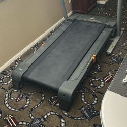 Exercise, Treadmill