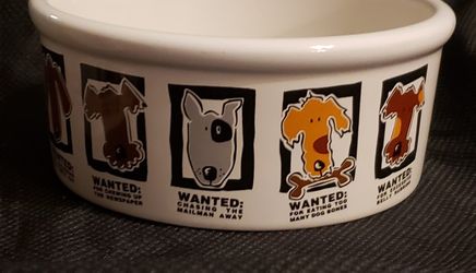 Most Wanted Dog Bowl