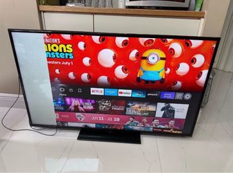 55 inch insignia tv (read description)