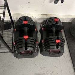 Adjustable Weirder Dumbbells 