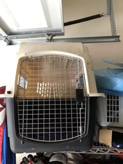 Travel dog crate