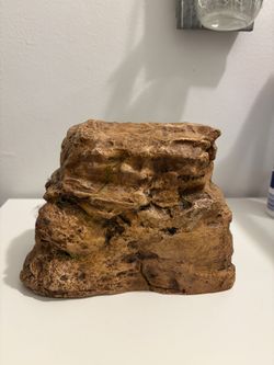 Reptile Hiding Cave