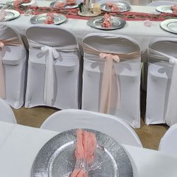 100 Silver Charger Plates