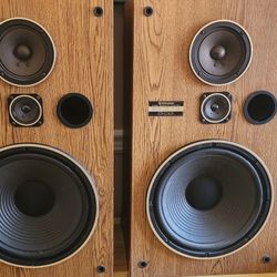 Pioneer CS-G303 Vintage Speakers