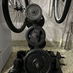 Gym Equipment For Sale. Used 1inch Weight Plates, Dumbbells, Barbell,Curl Bar, Weight Rack. 