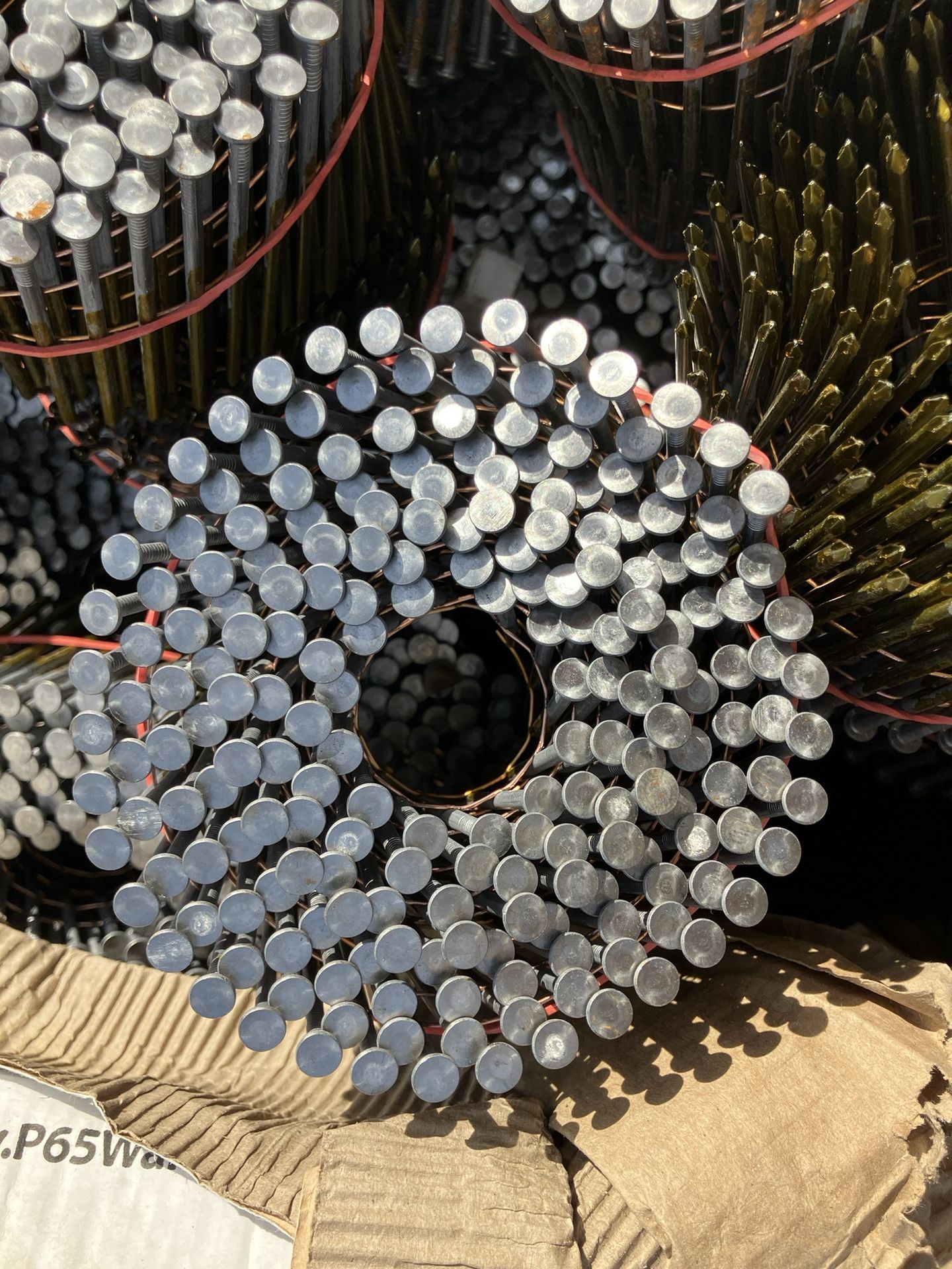 Coil Nails