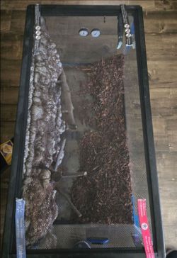 Terrarium large Reptile