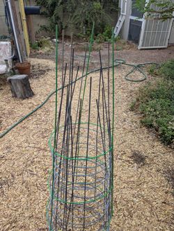 Tomato cages