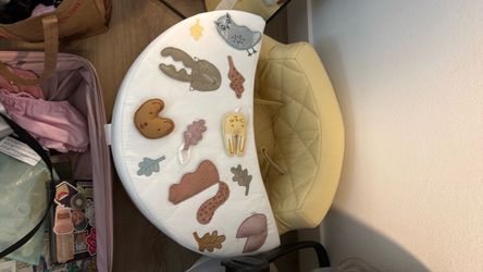 Crate and Barrel Baby Activity Chair
