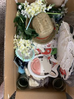 Birthday Party Decorations - Farm