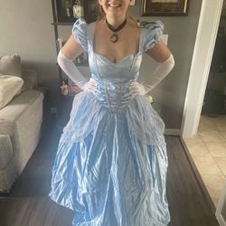 Cinderella Costume