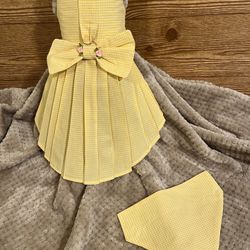 New Dog Dress And Matching Bandana 