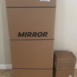 Lululemon Exercise Mirror 