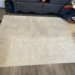 5x7 AREA RUG 